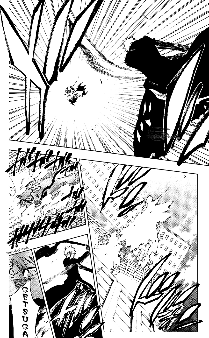 Bleach 219 08 kopie.jpg